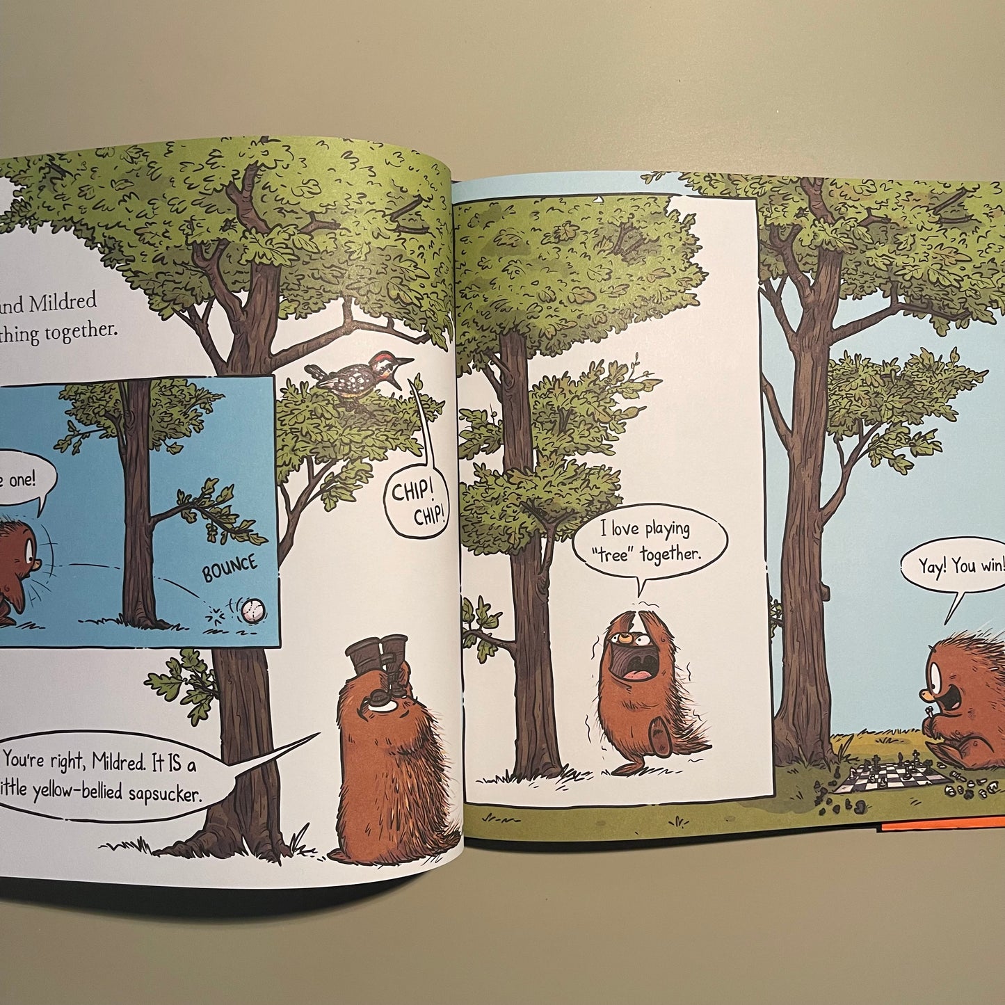 Norman Didn't Do It! / Ryan T. Higgins