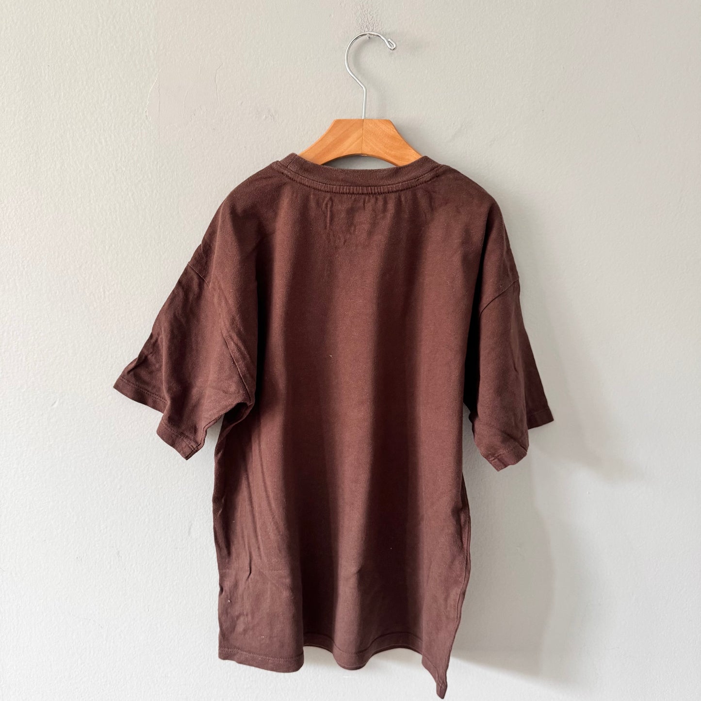 Gap / Brown T-shirt / 10Y