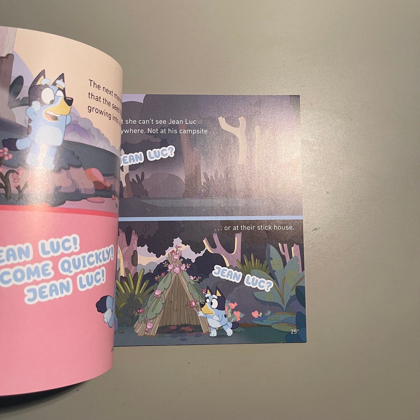 Bluey Camping (Includes Stickers)