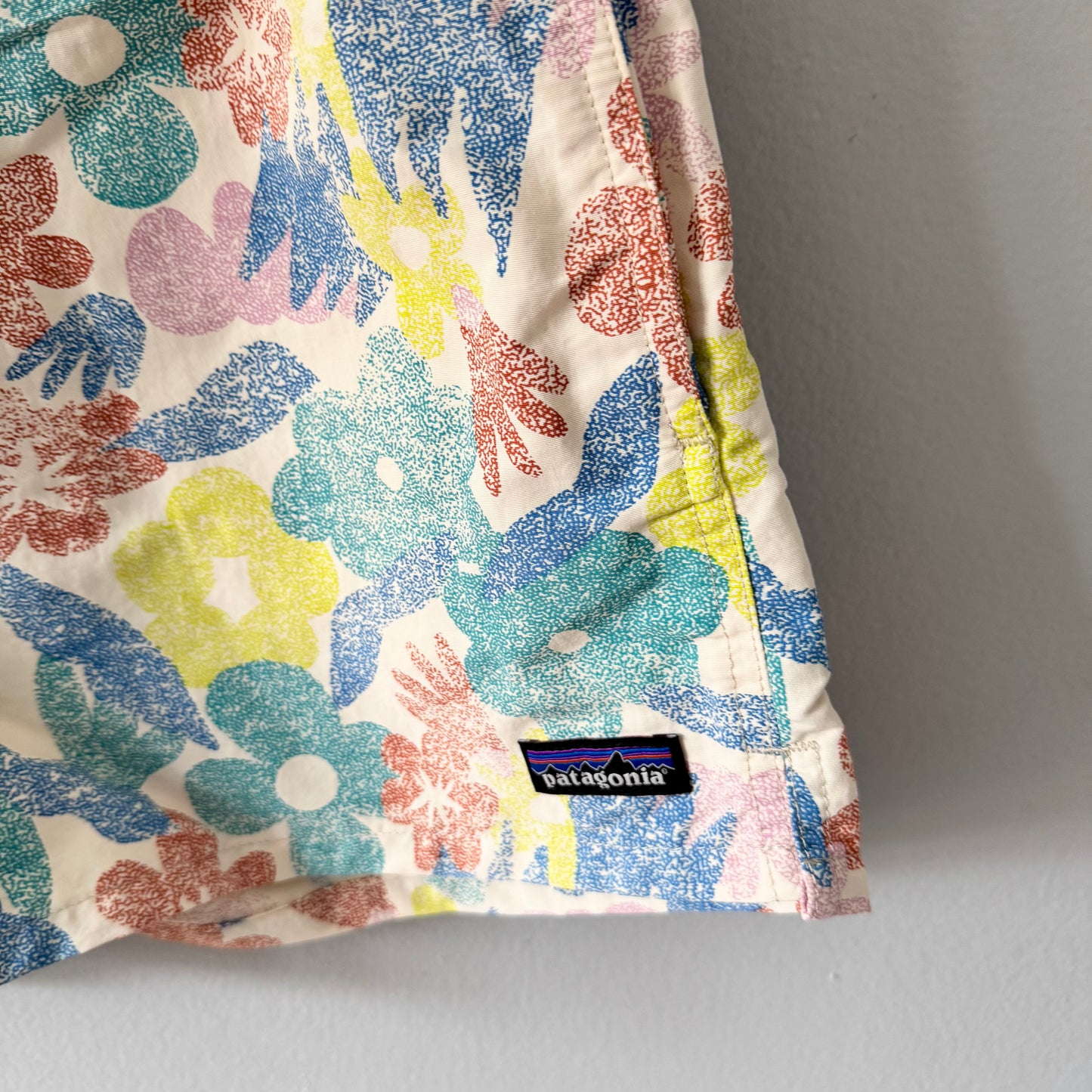 Patagonia / Summer nylon shorts / Adult M