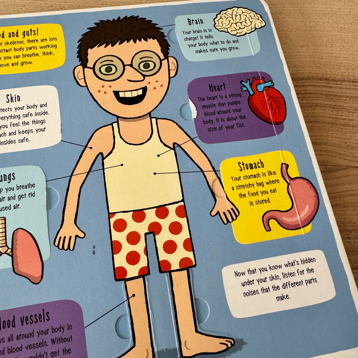 Little Explorers - My Amazing Body