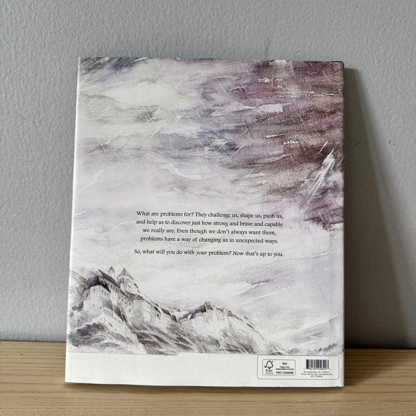 What Do You Do With A Problem? / Kobi Yamada