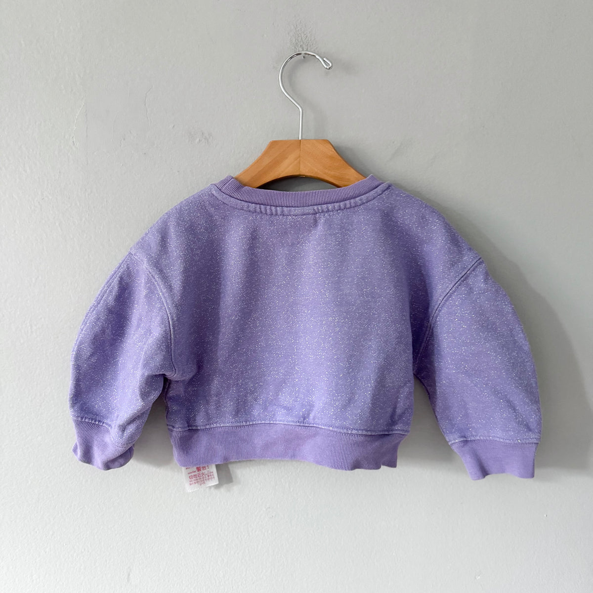 Disney 100 / Purple sweatshirt / 2T