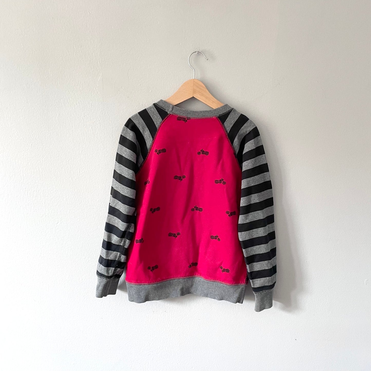 Hanna Andersson / Sweatshirt / 110cm(4-5Y)