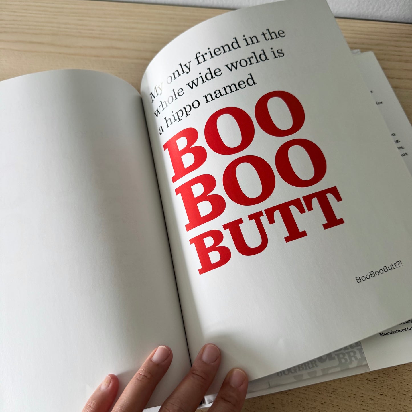 The Book With No Pictures