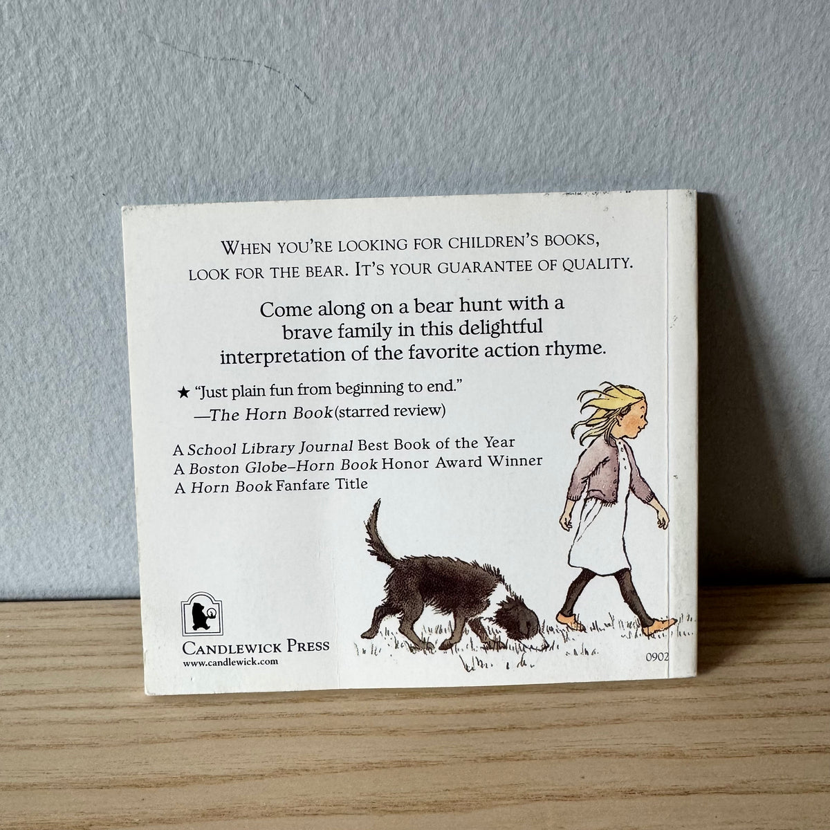We're Going on a Bear Hunt / Michael Rosen