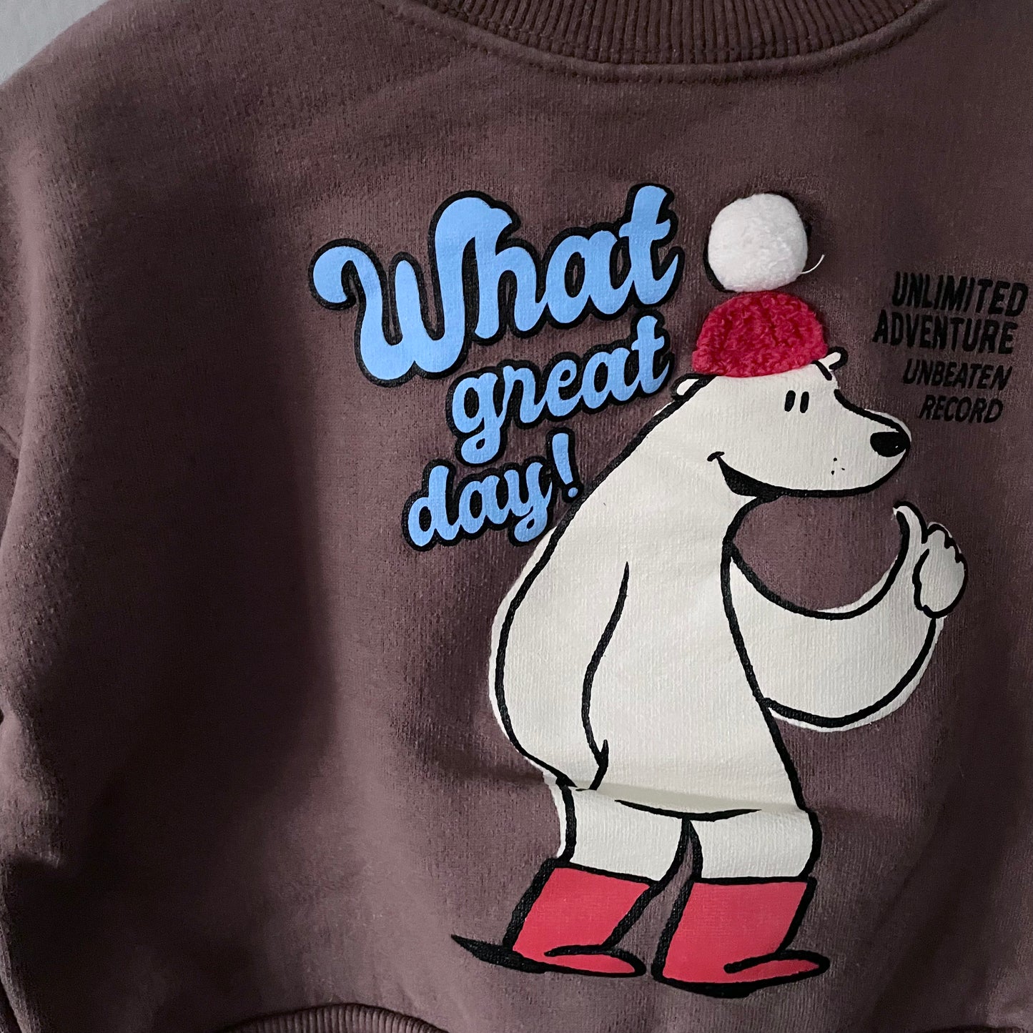 Zara / "What a Great day" sweatshirt / 18-24M