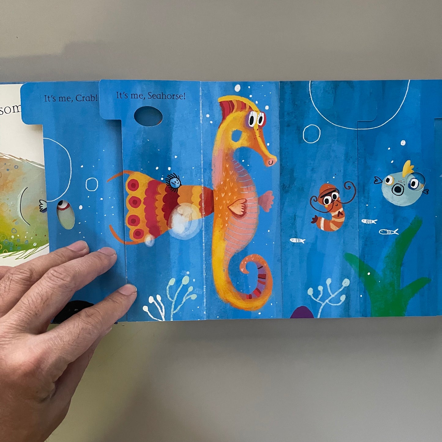 Flippy Floppy Lift-the-flap fun! - Ocean Animals