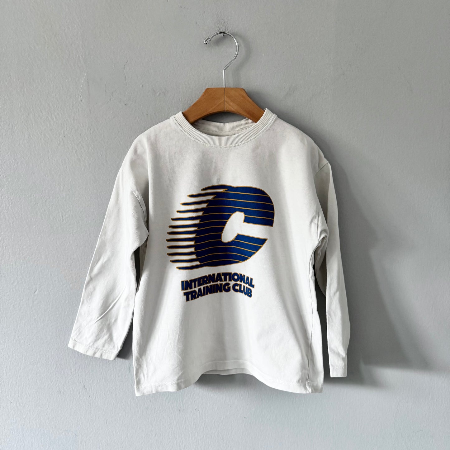 Zara / T-shirt manches longues blanc / 6 ans