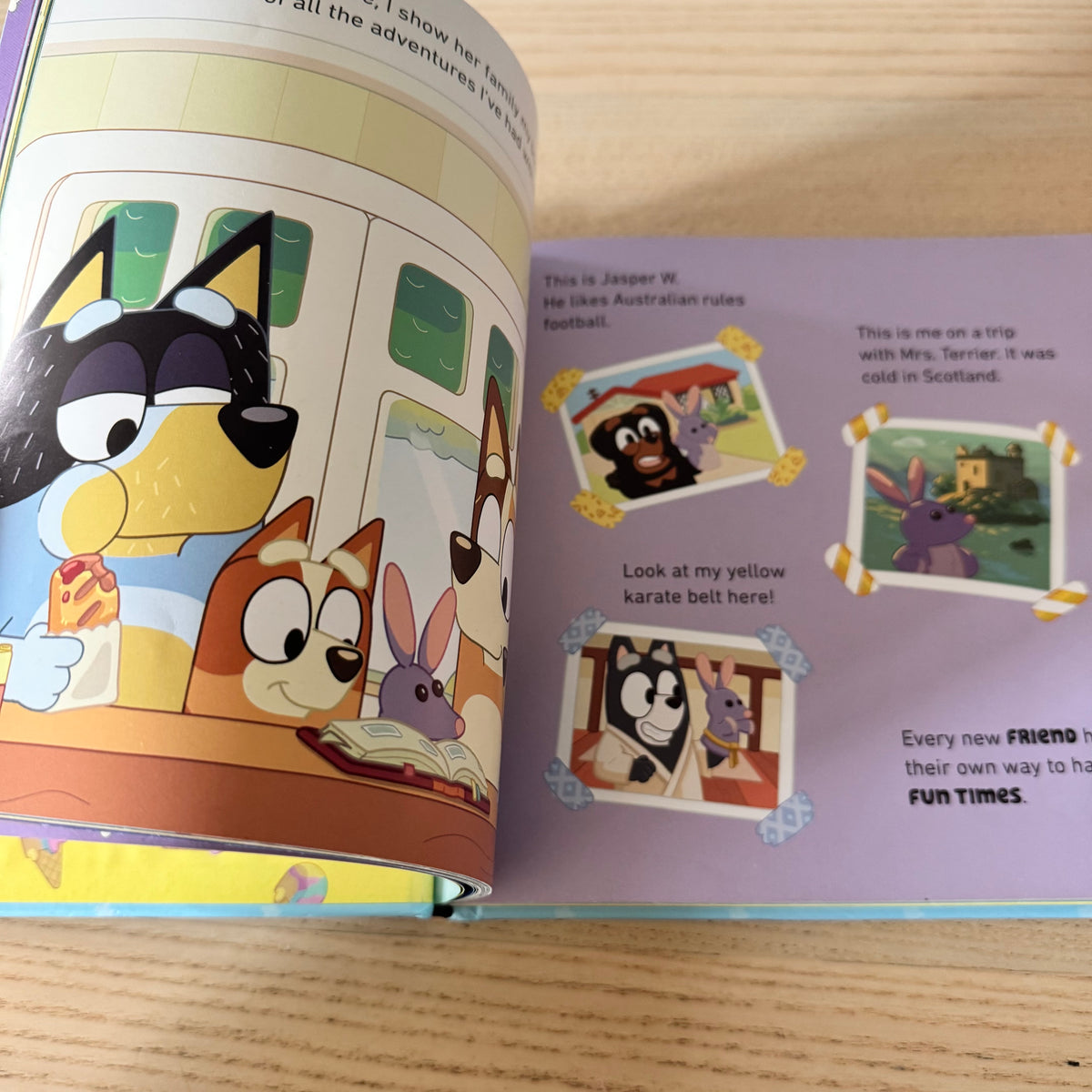 Bluey - For Real Life - A Story Collection