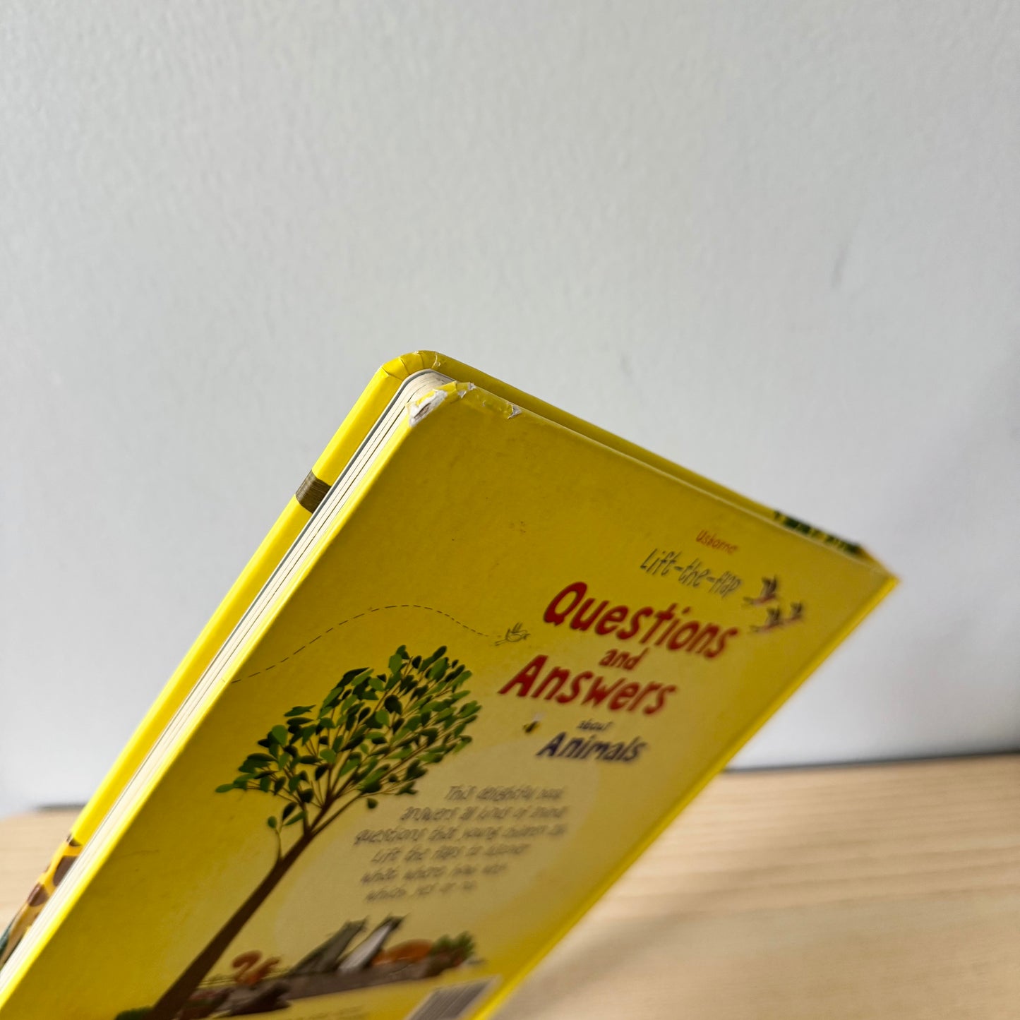 Usborne Lift-the-flap - Questions and Answers about Animals