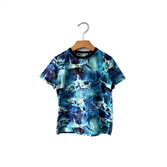 Next / Short sleeve T-shirt - Shark / 5Y