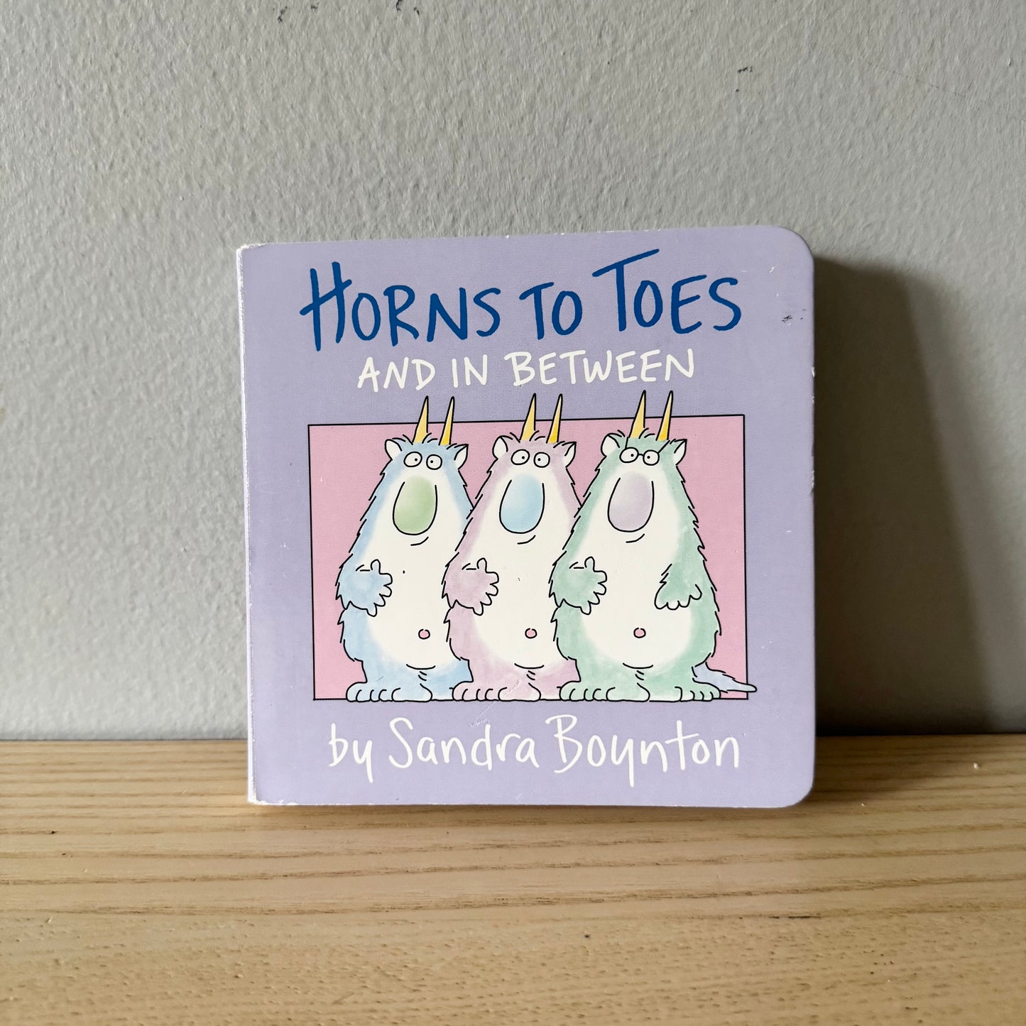 Horns to Toes and In Between / Sandra Boynton