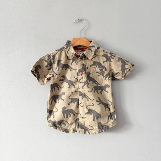 Hatley / Khaki x leopard shirt / 4Y