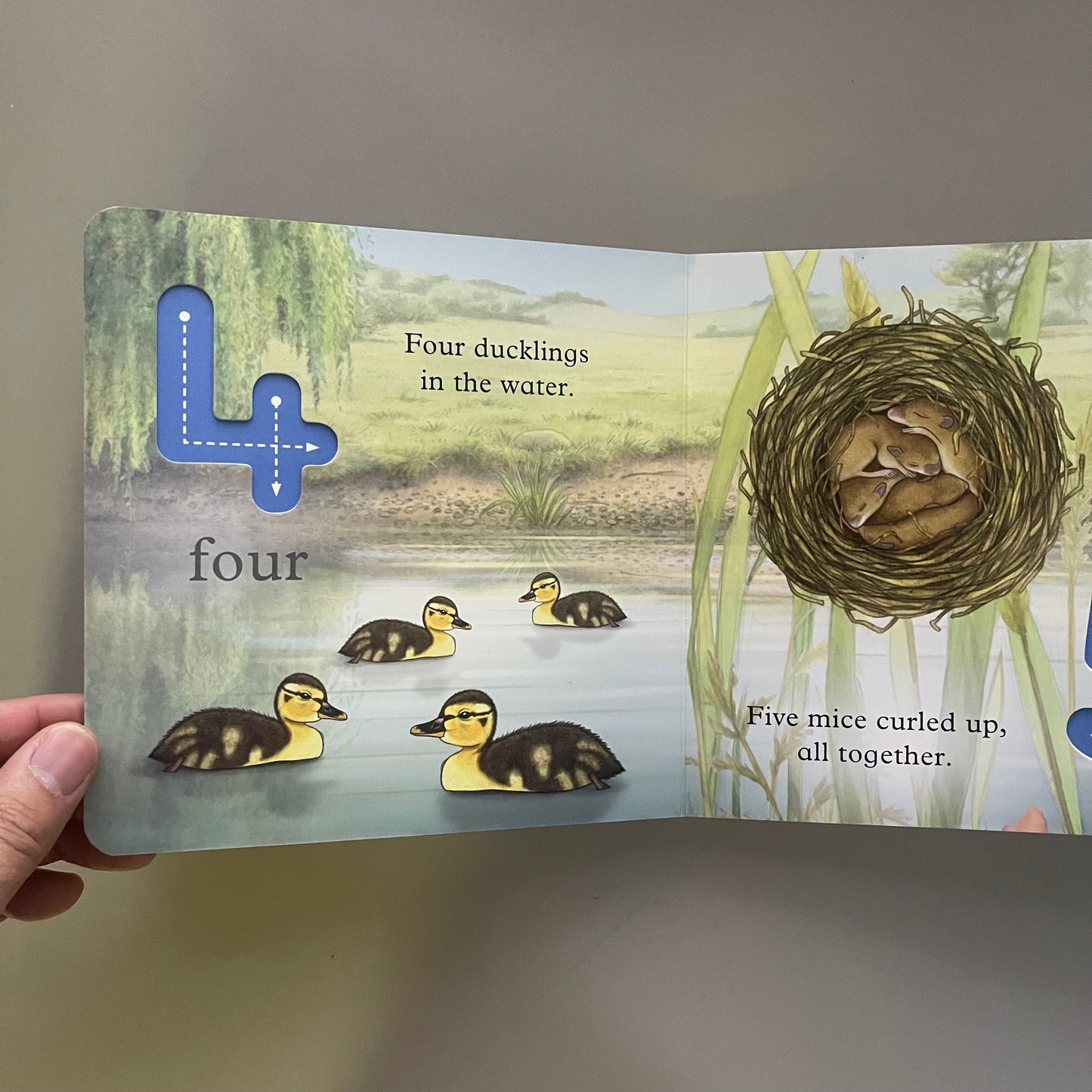 We're Going on a Bear Hunt My First 1 2 3