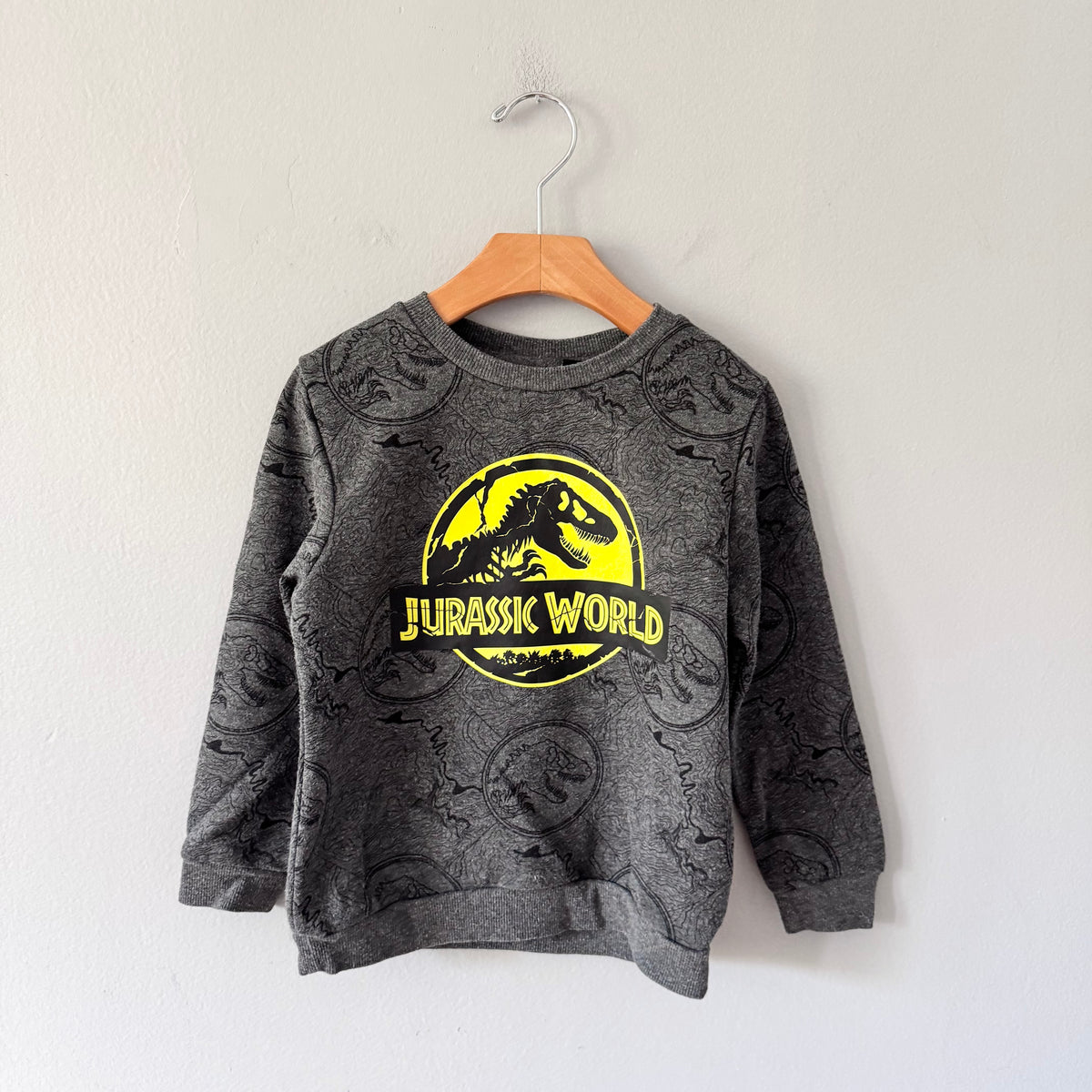 Jurassic World / Dark grey sweatshirt / 5-6Y
