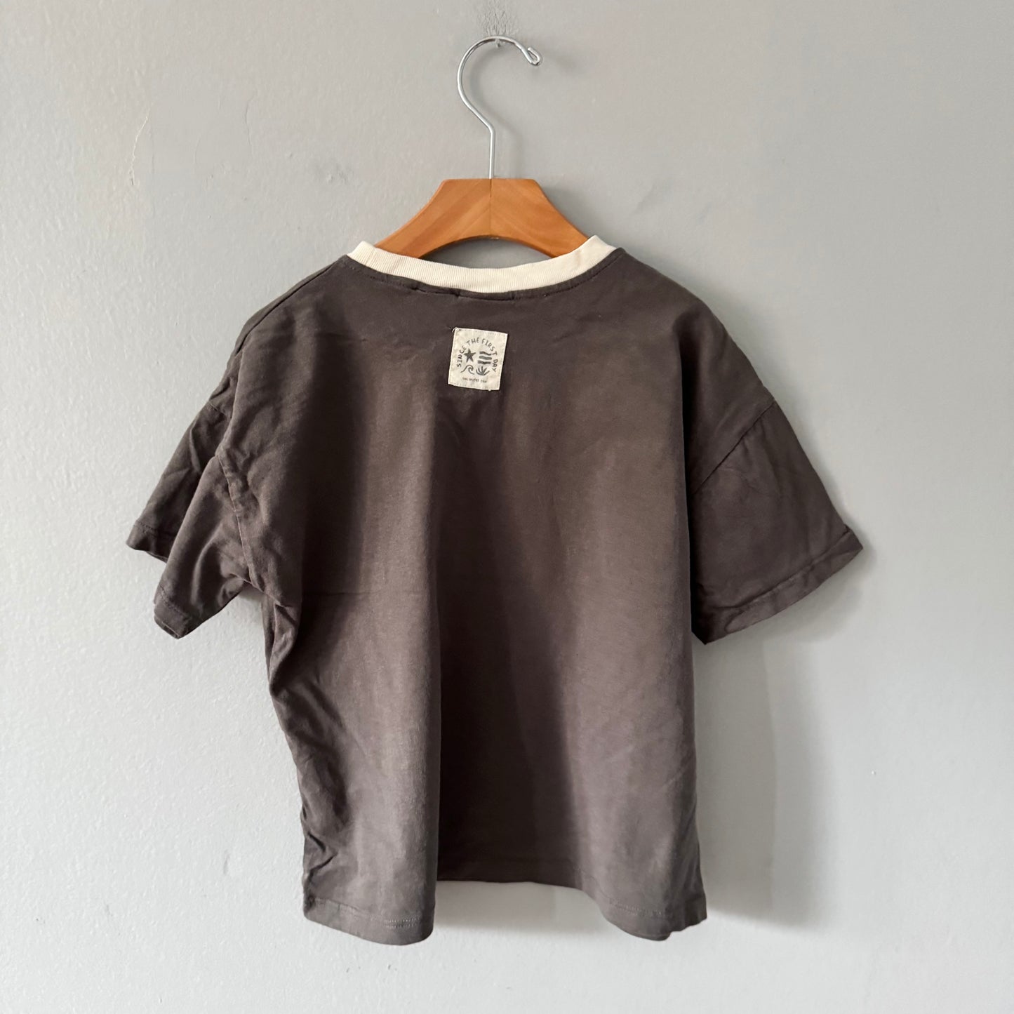 Zara / Grey T-shirt / 6Y