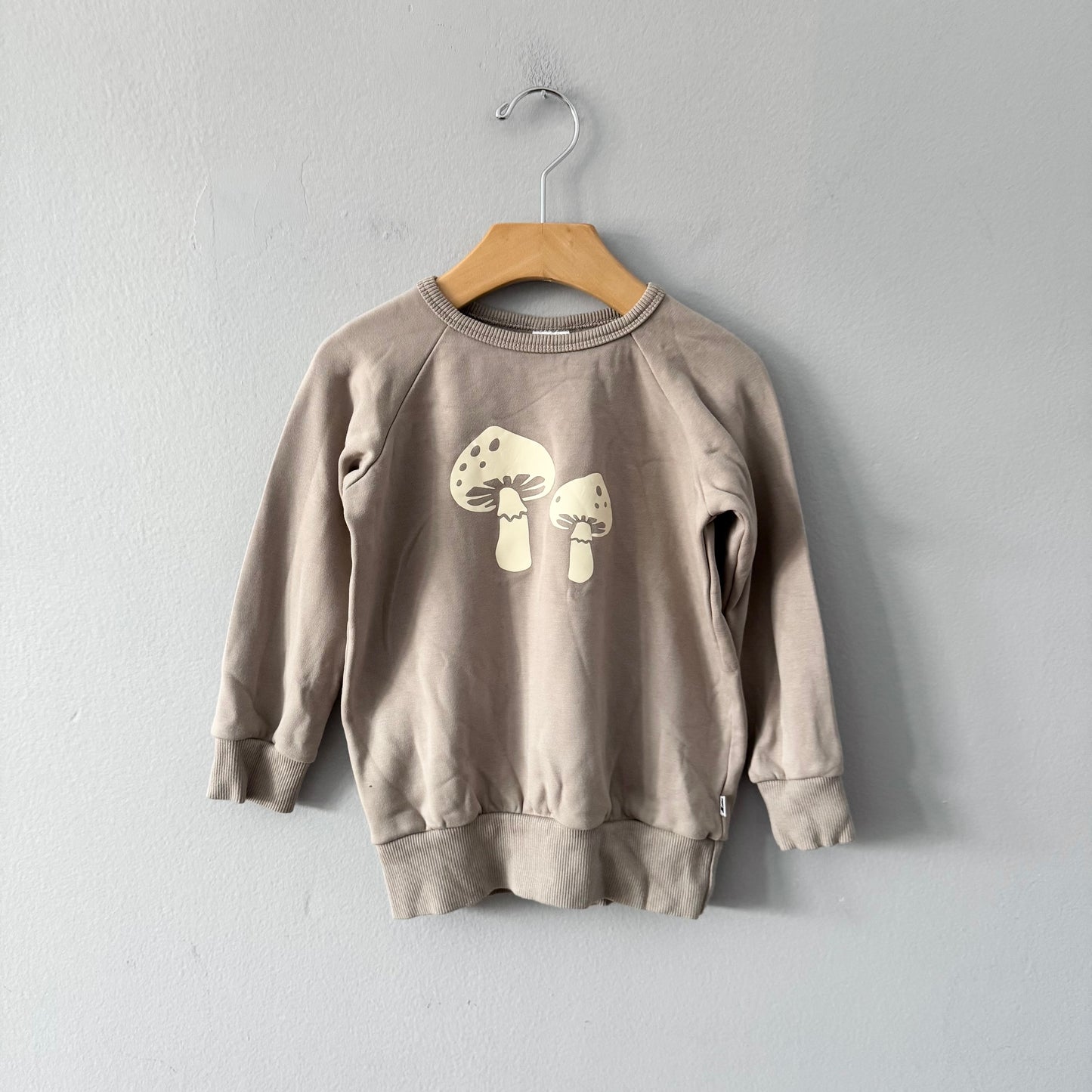 Little & Lively	/ Grey mushroom fleece lined crew top / 3-4T