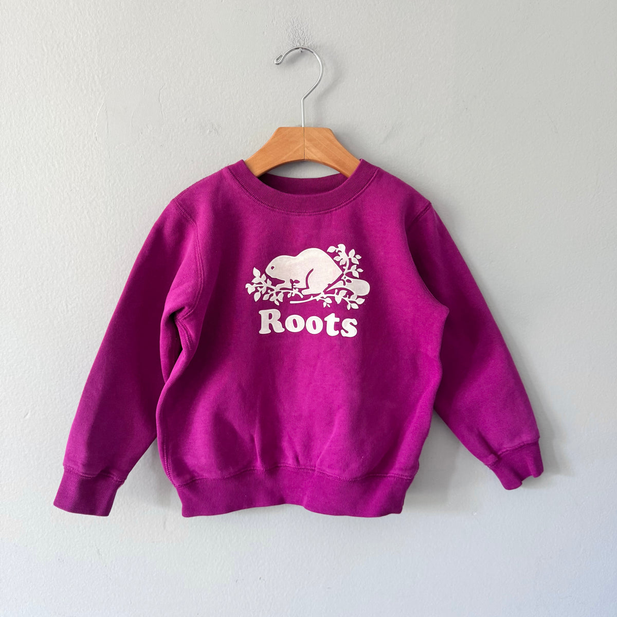 Roots / Purple sweatshirt / 5T