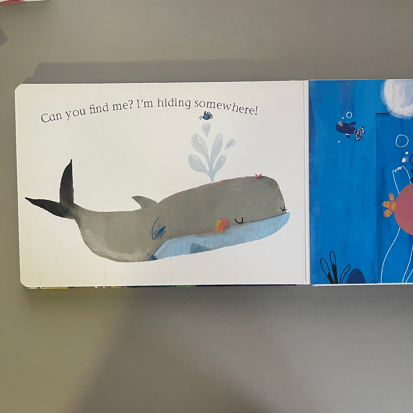 Flippy Floppy Lift-the-flap fun! - Ocean Animals