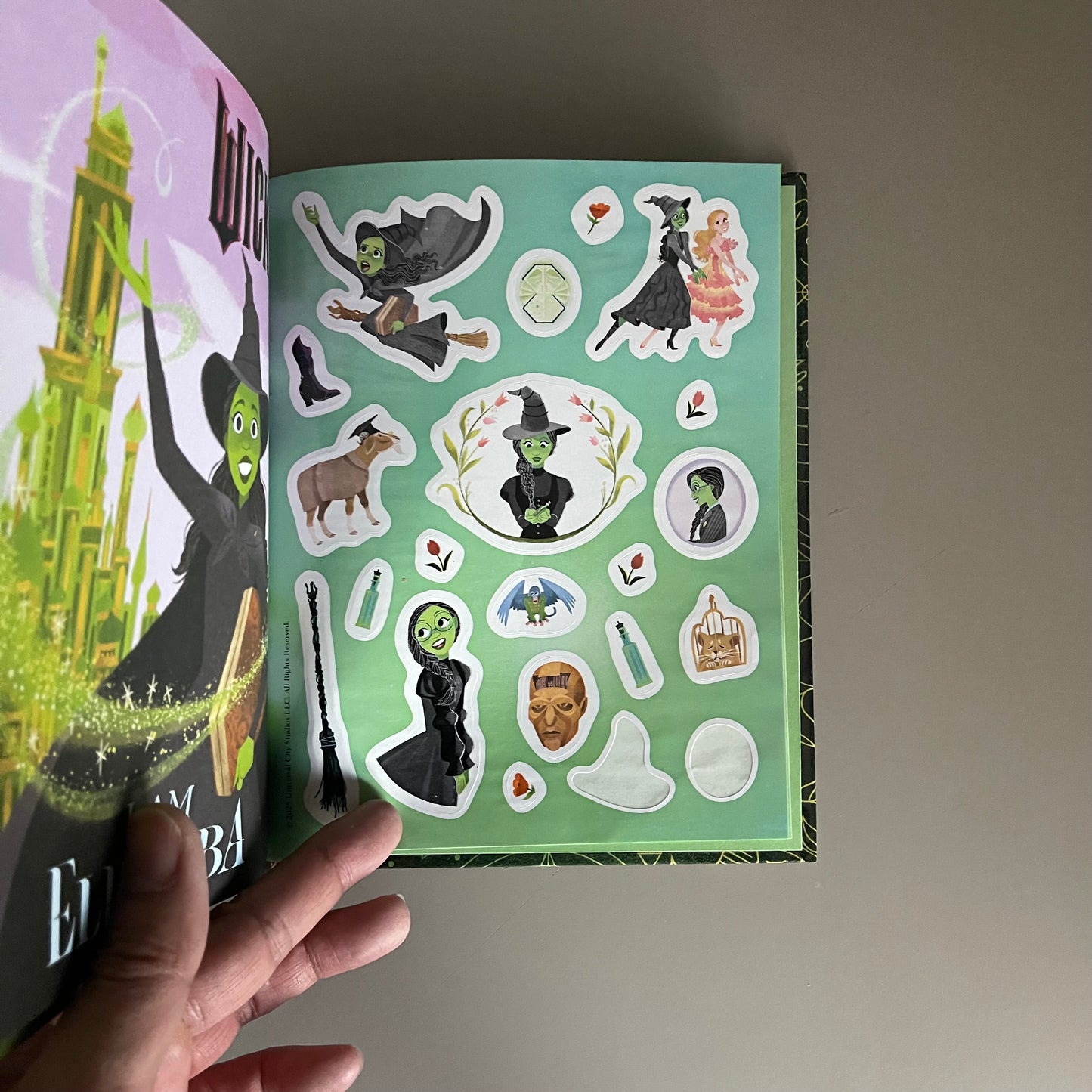 Wicked - I am Elphaba