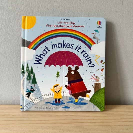 [Brand New] Usborne Lift-the-flap - What makes it rain?