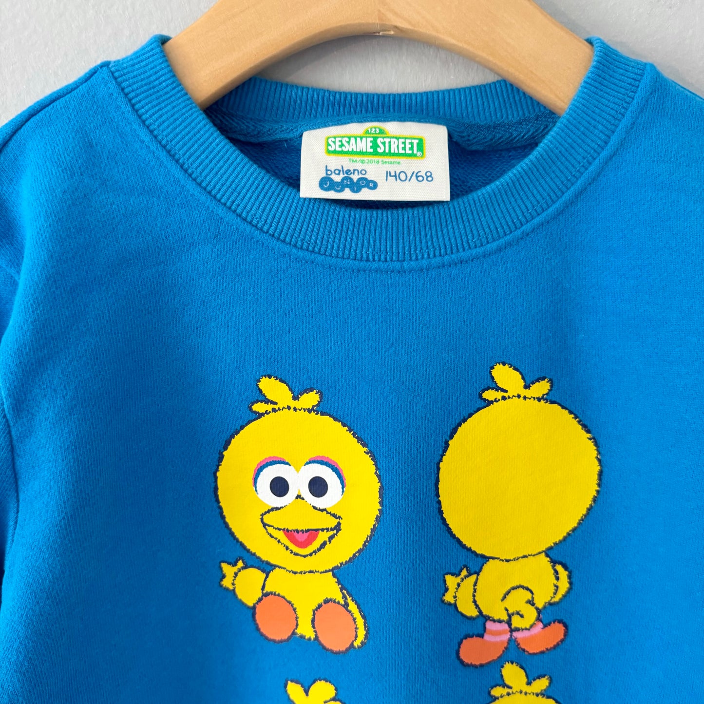 Sesame Street / Big Bird sweatshirt / 8Y