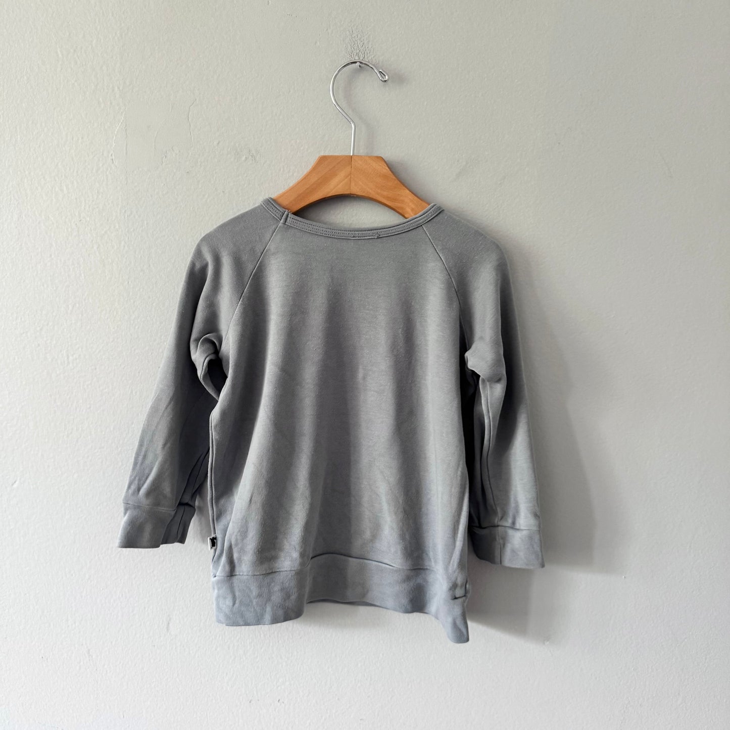 Little & Lively / Grey long sleeve / 3-4Y