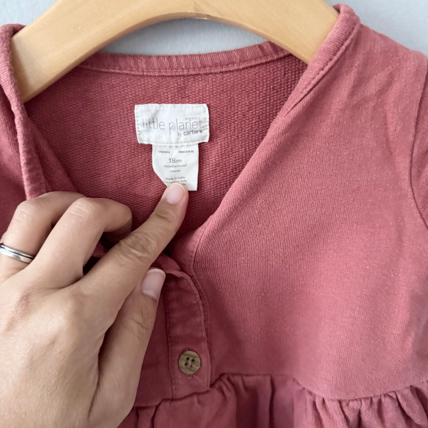 Little Planet / Orange brown crew dress / 18M