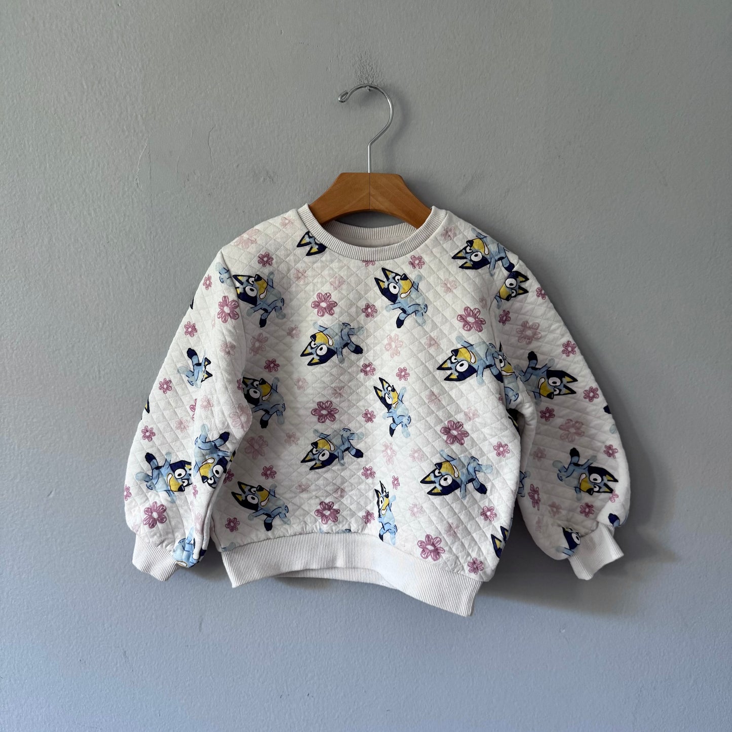 Bluey / White sweatshirt / 5T