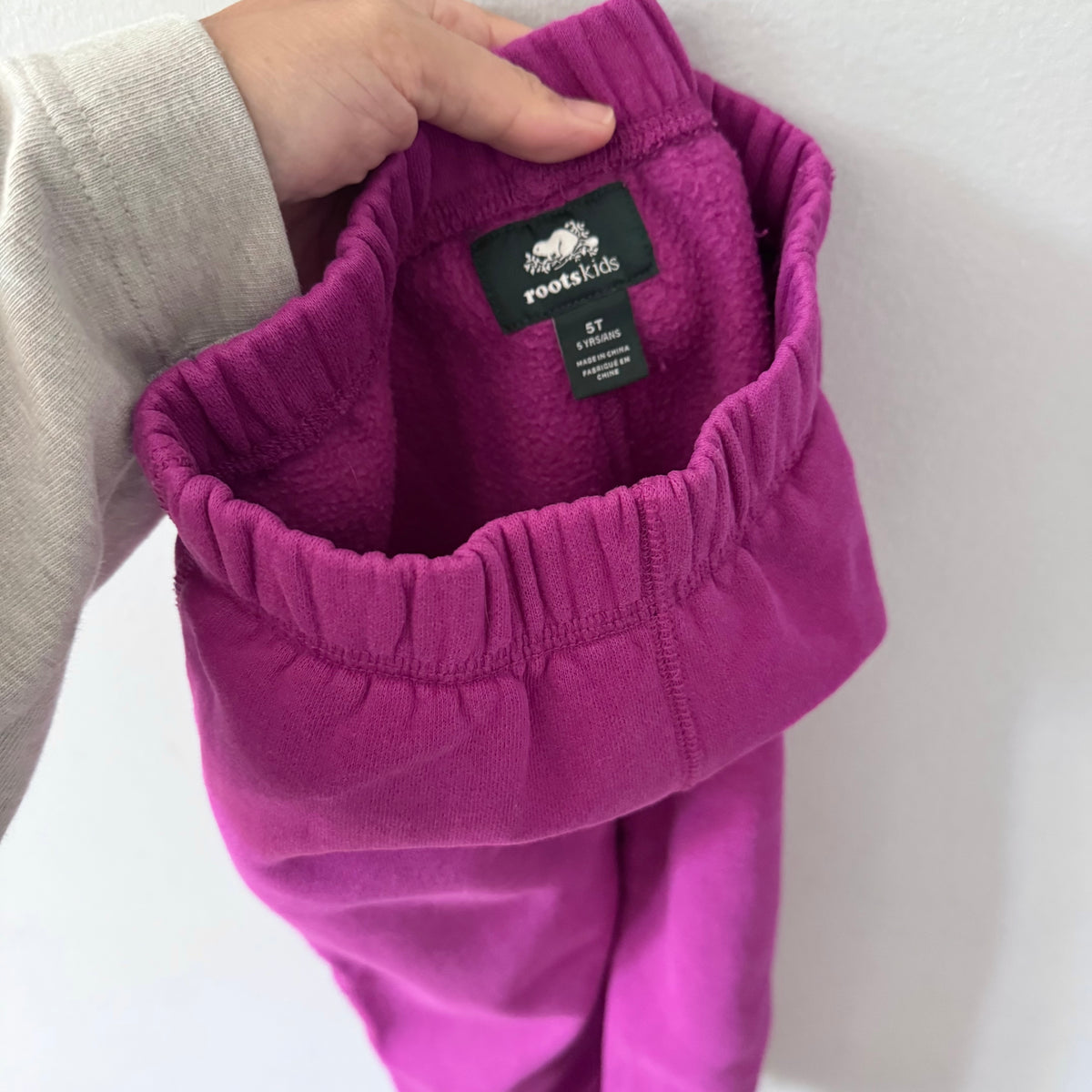 Roots / Purple sweatpants / 5T