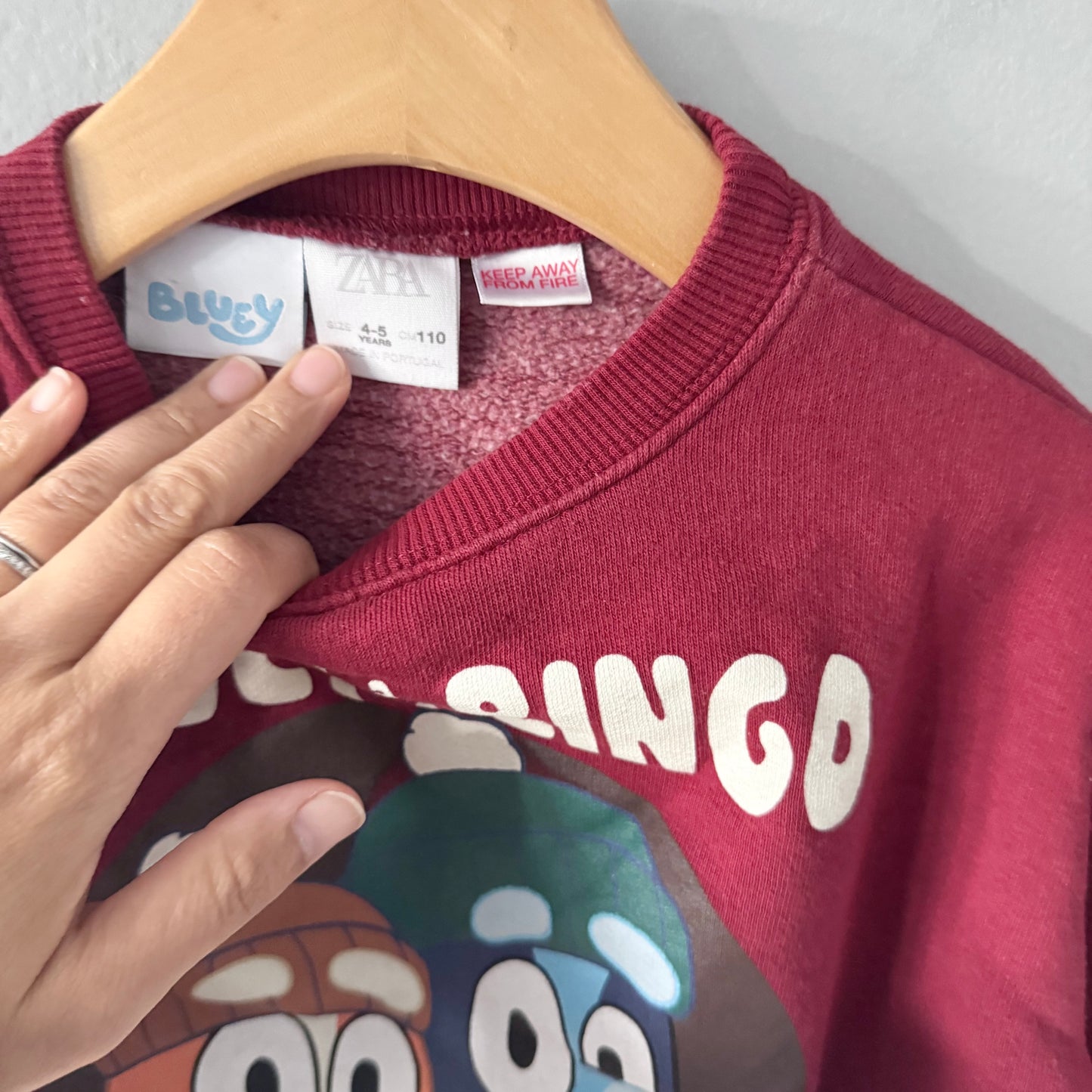 Zara / Bluey and Bingo sweatshirt / 4-5Y