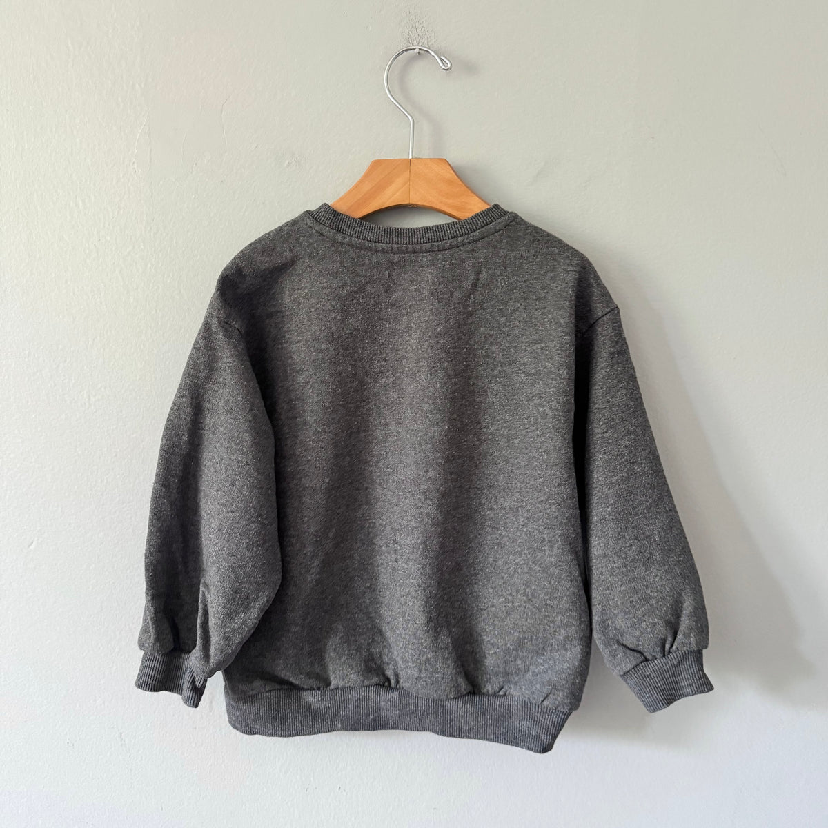 Bluey / Dark grey Halloween sweatshirt / 5T