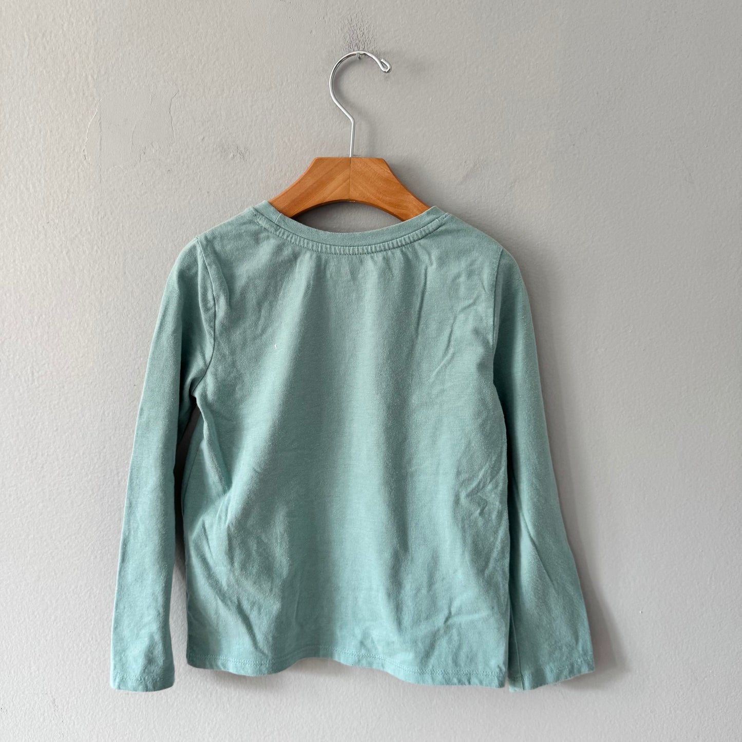 Cat & Jack / Green x rainbow long sleeve / 5T