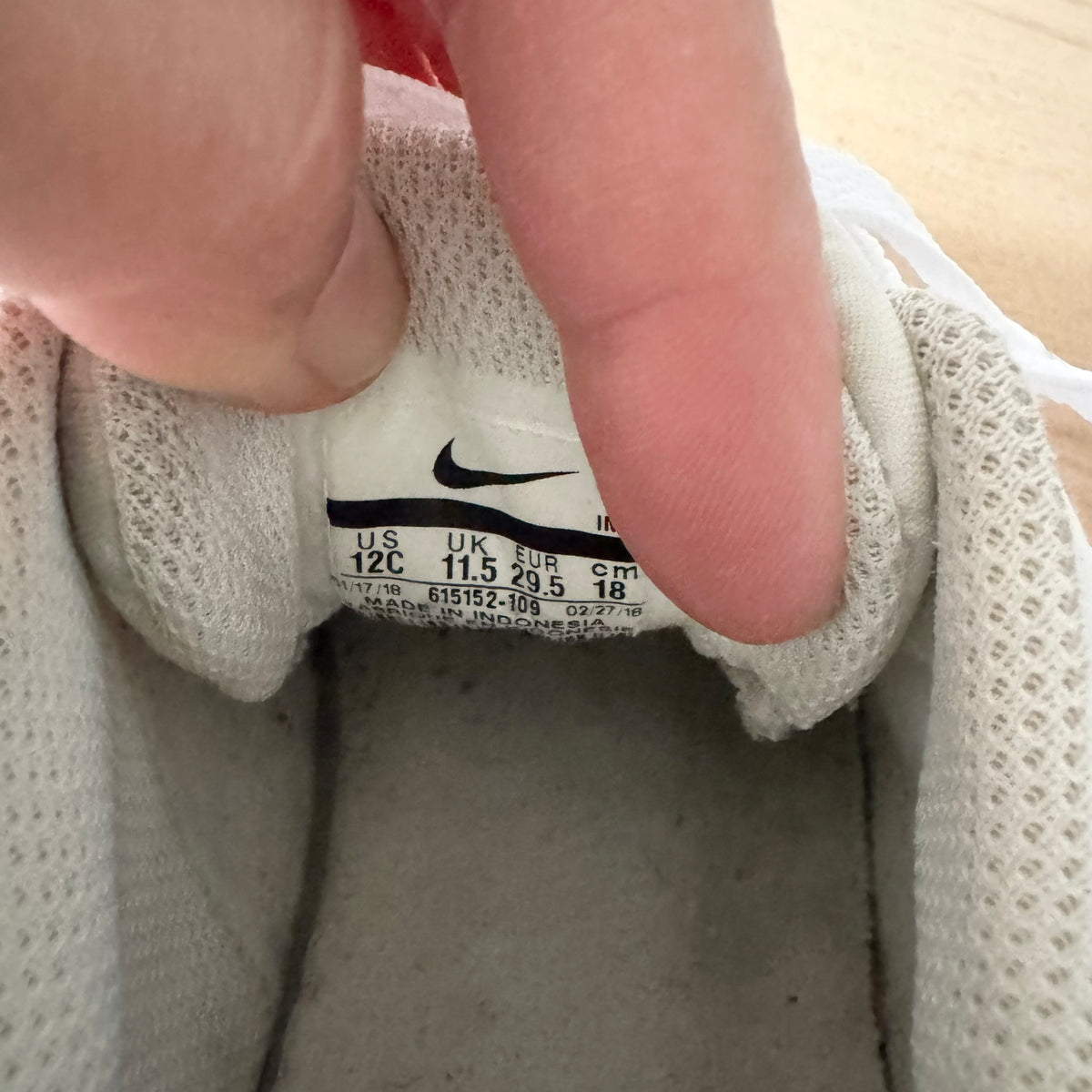 Nike / Sneaker / US12