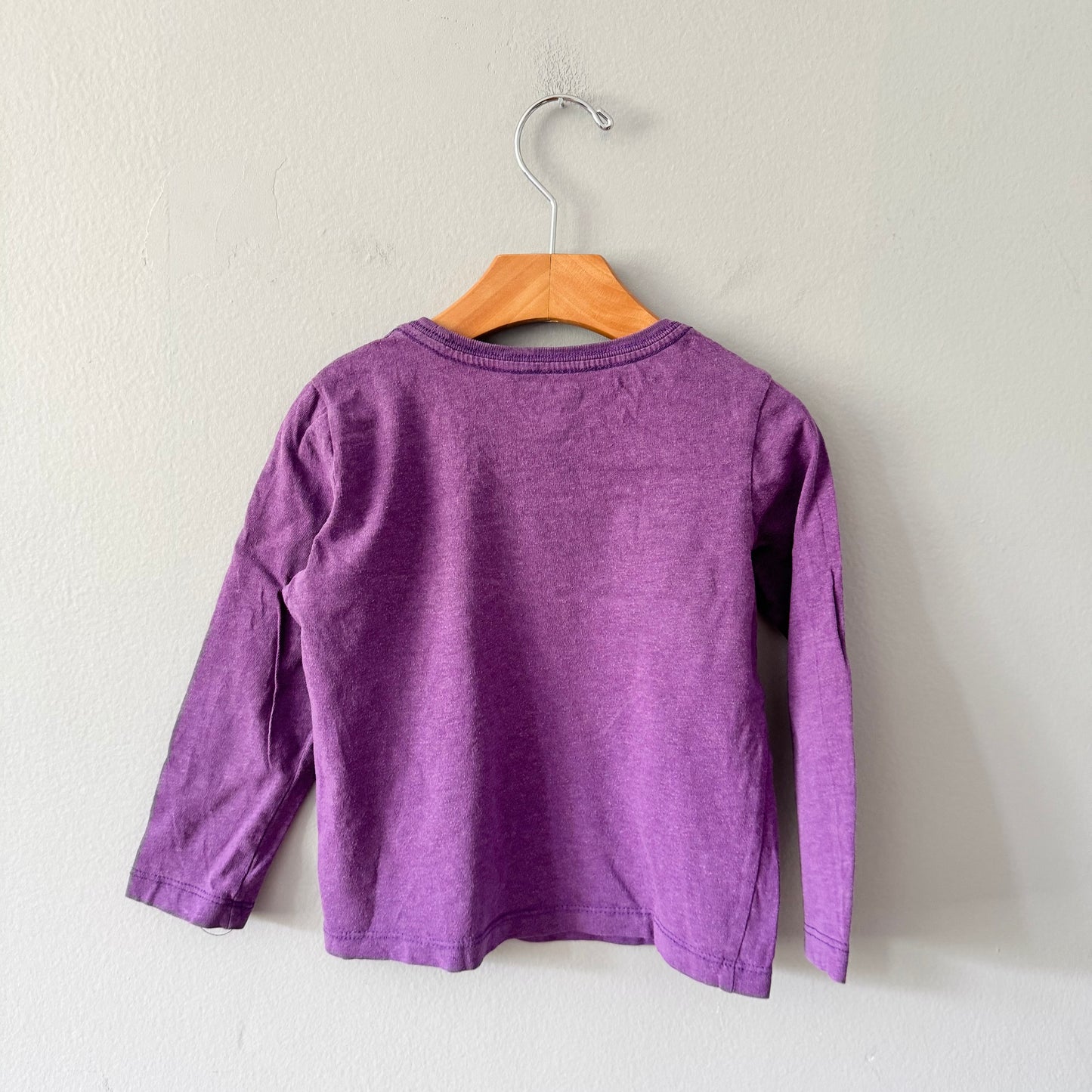Roots / Purple long sleeve top / 4T