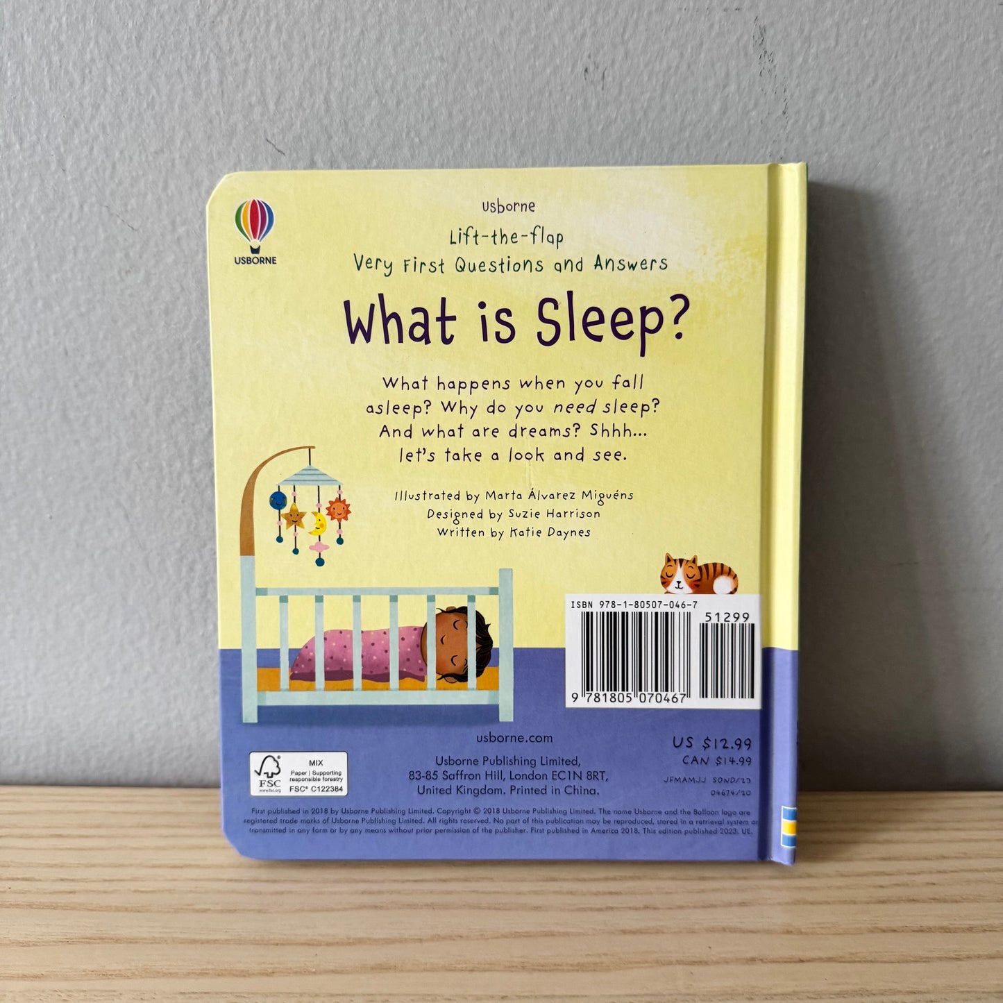 [Brand New] Usborne Lift-the-flap - What is Sleep?