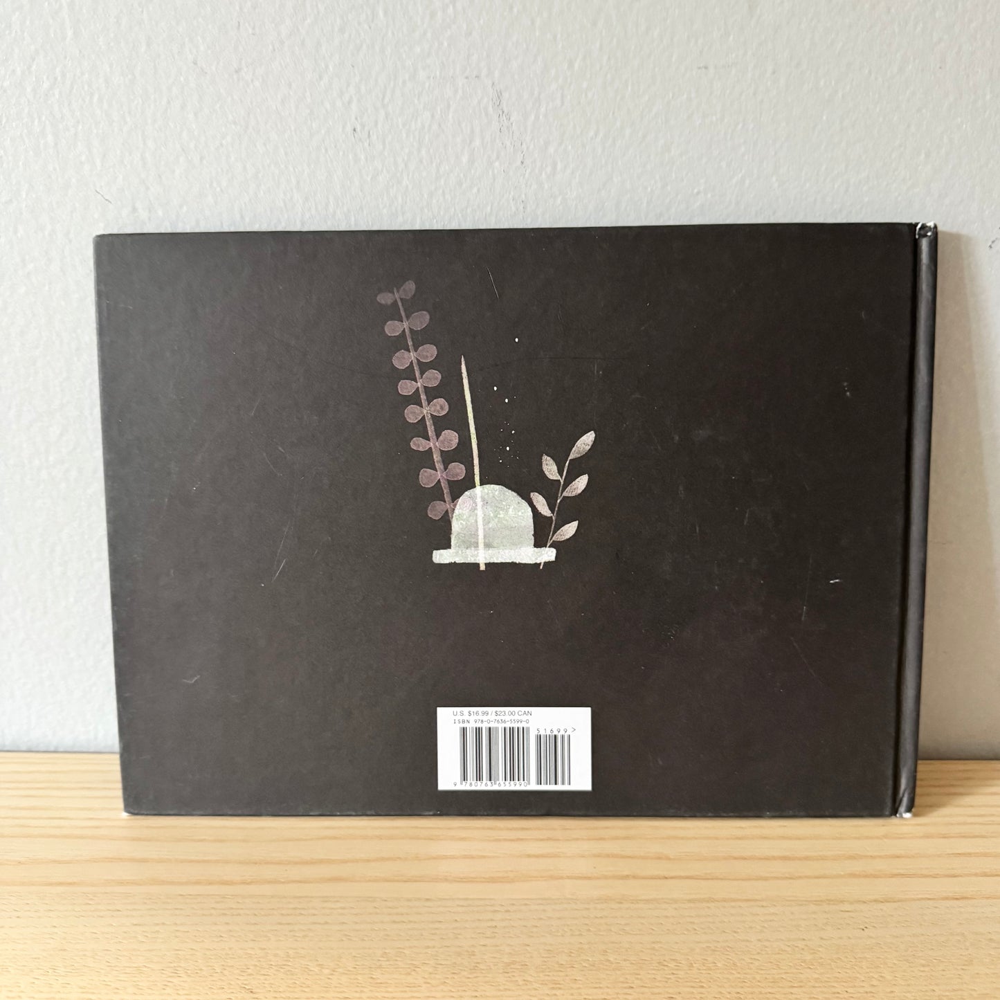 This Is Not My Hat / Jon Klassen