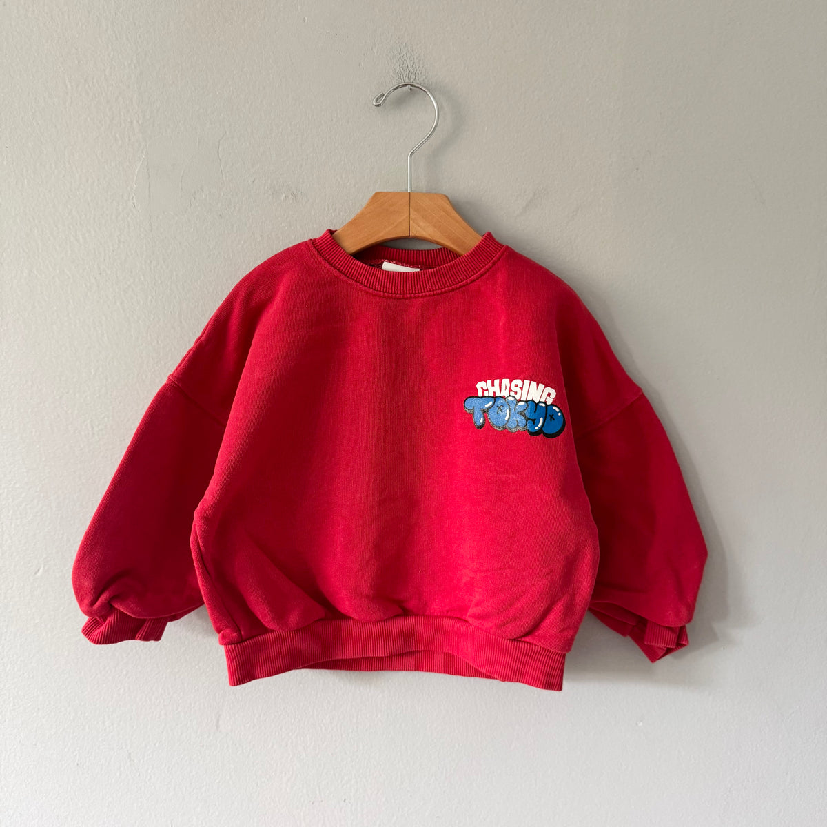 Zara / Red sweatshirt / 5Y