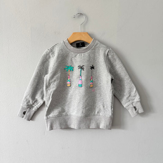 Birdz / Light grey sweatshirt / 5Y