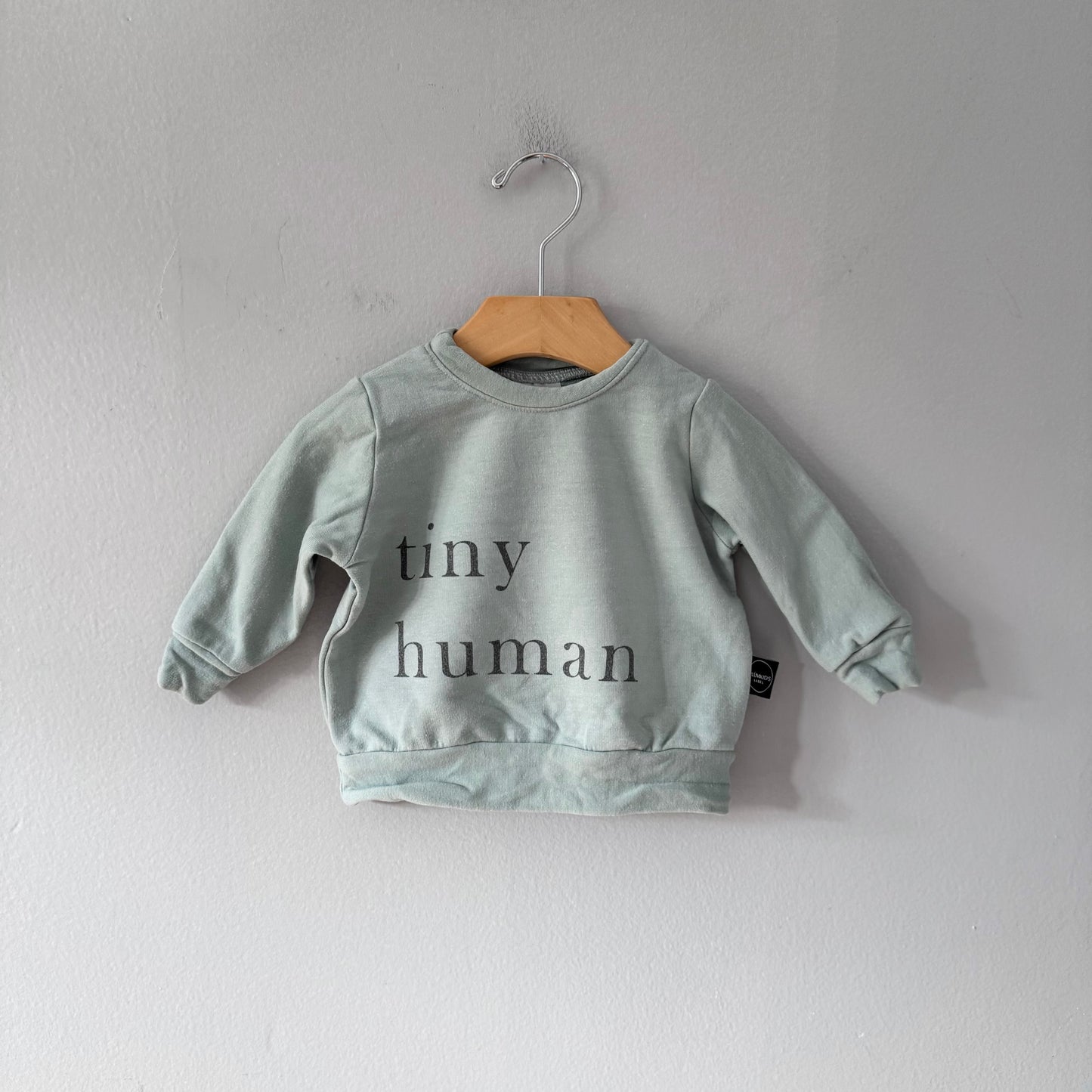 Plum Kids / Green sweatshirt / 3-6M