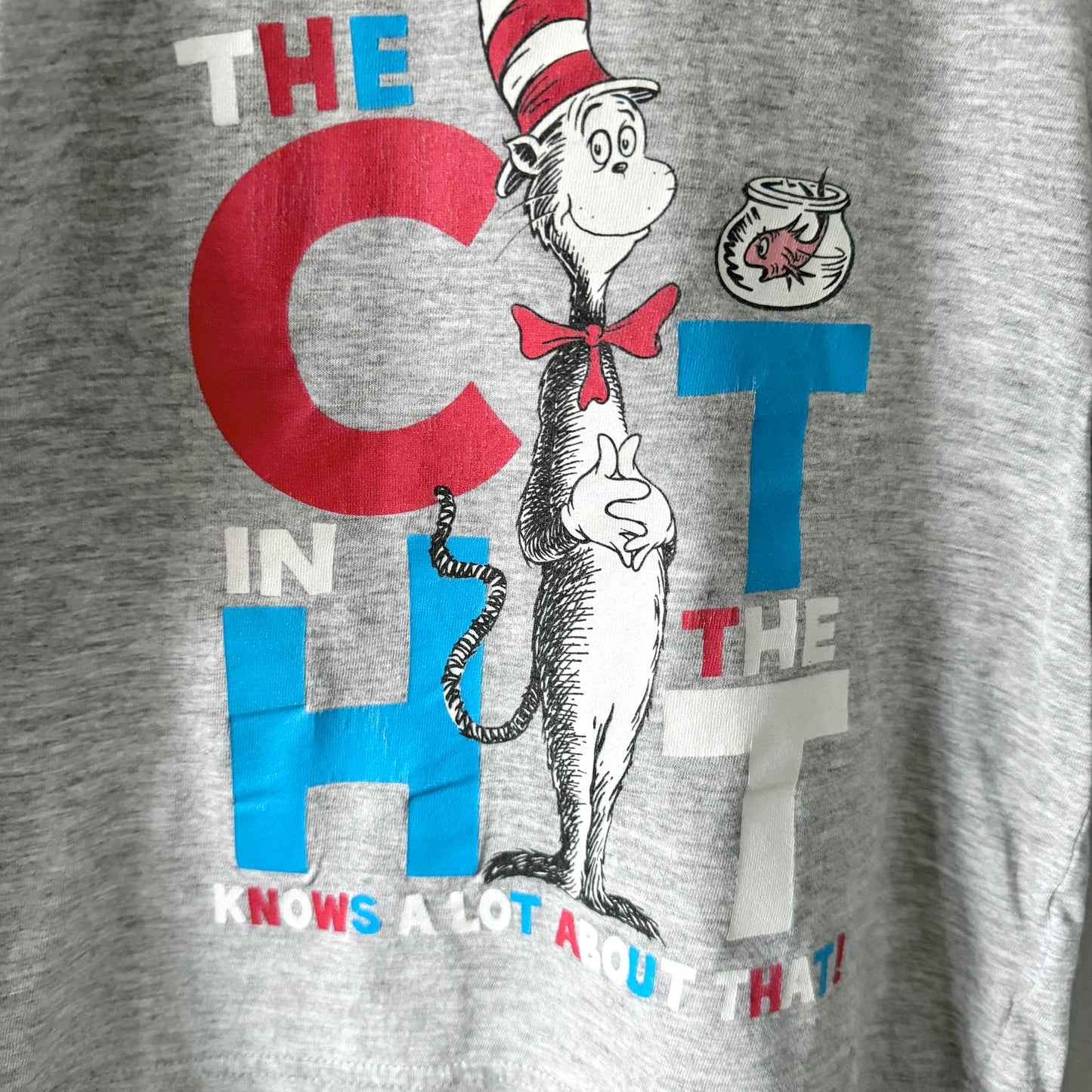 Dr. Seuss / Light grey T-shirt / 2-3Y