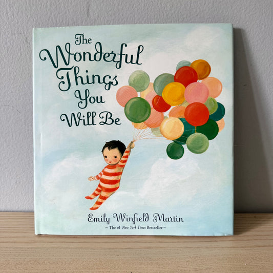 The Wonderful Things You Will Be / Emily Winfeld Martin