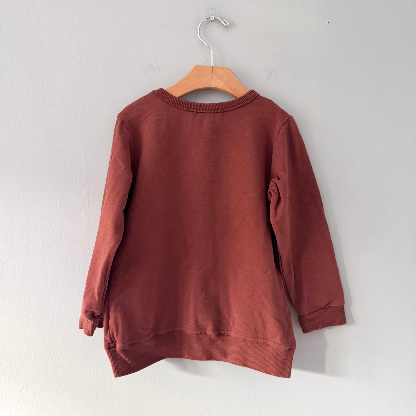 Haven Kids / Brown crew top / 4-5Y