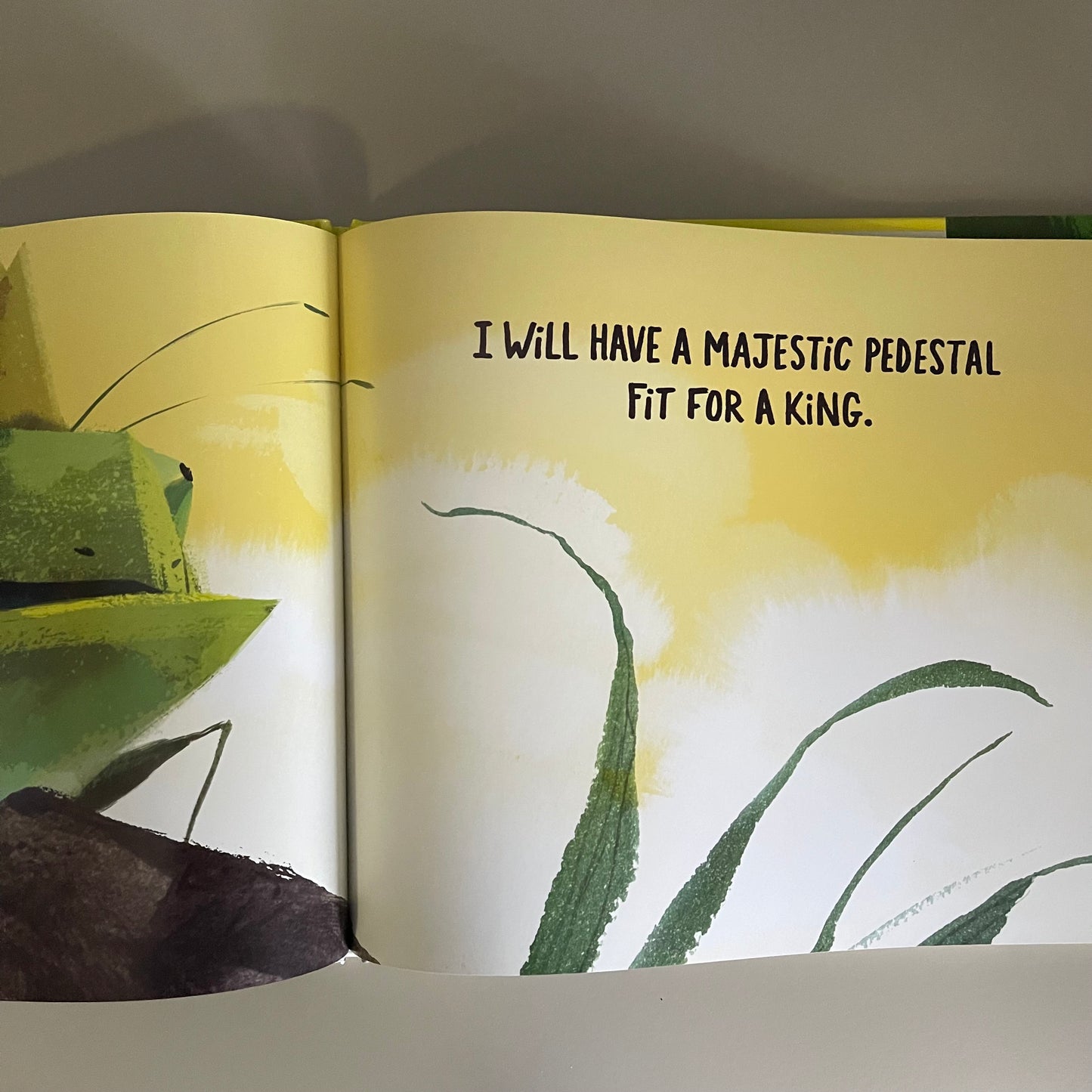 [Brand New] Bring Me A Rock! / Daniel Miyares