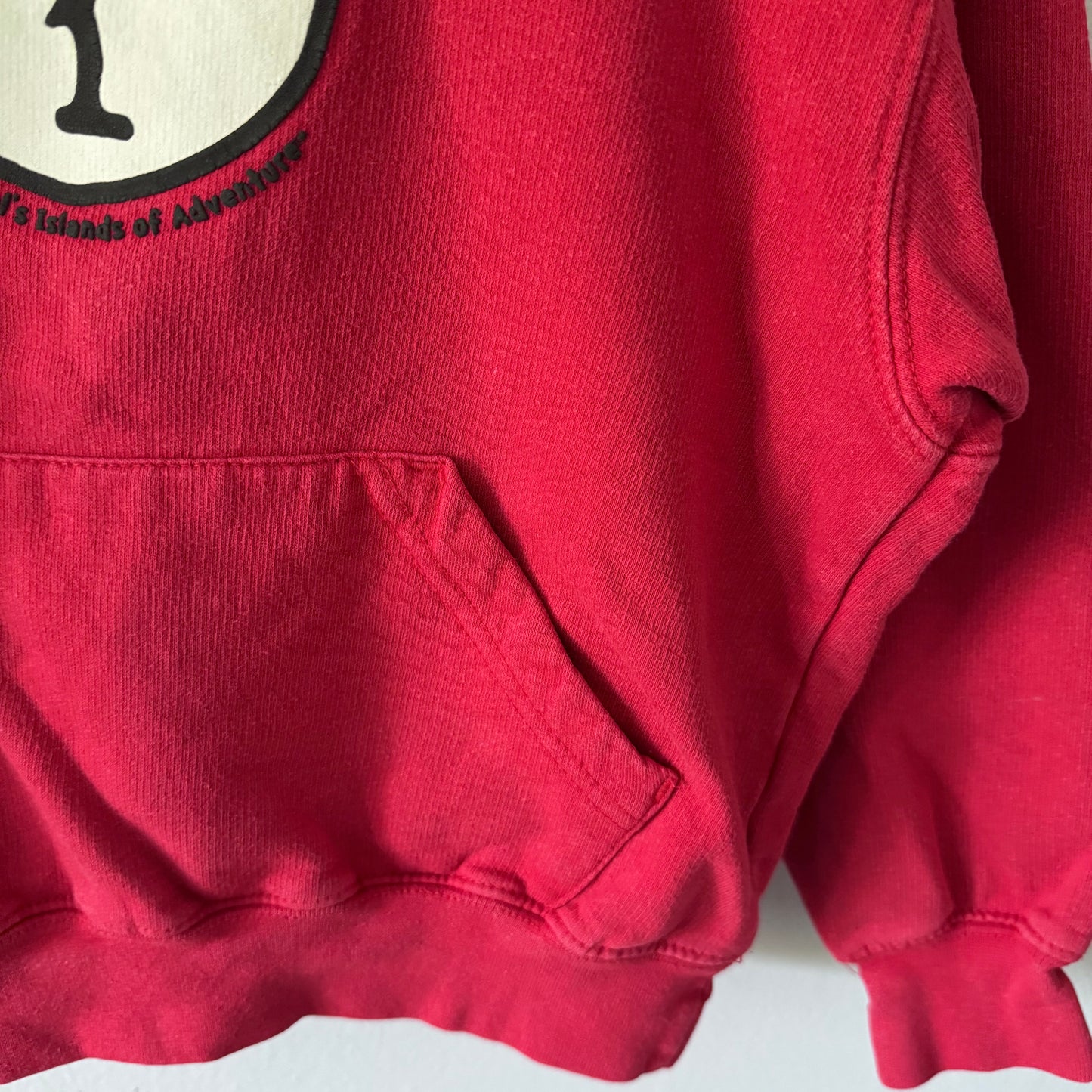 Universal Studios / Thing 1 hoodie / Youth XS(4Y)