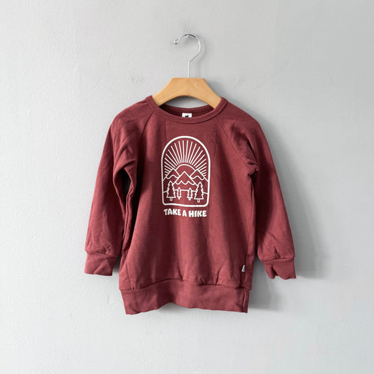 Little & Lively	/ Brown fleece lined crew top / 3-4T