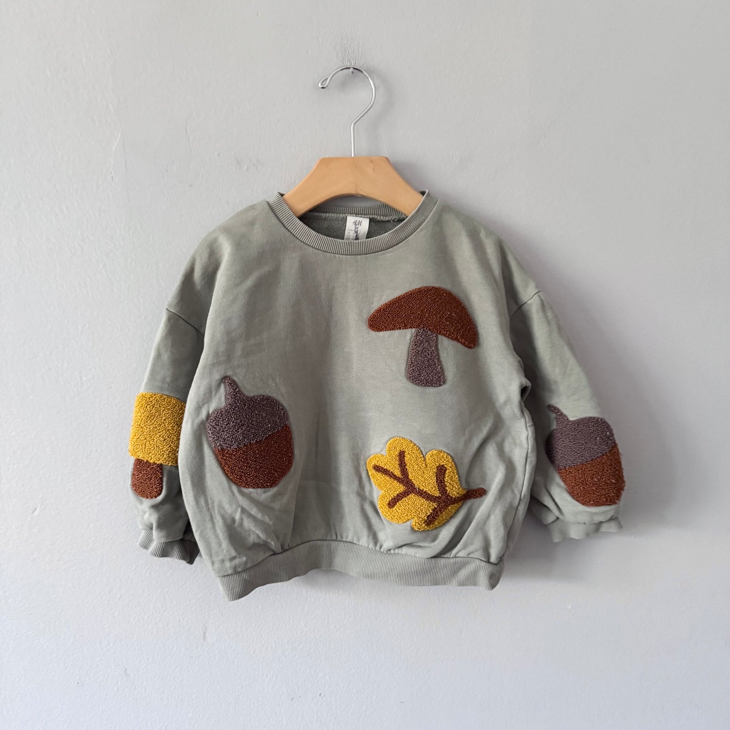 H&M / Smokey green acorn sweatshirt / 3-4Y