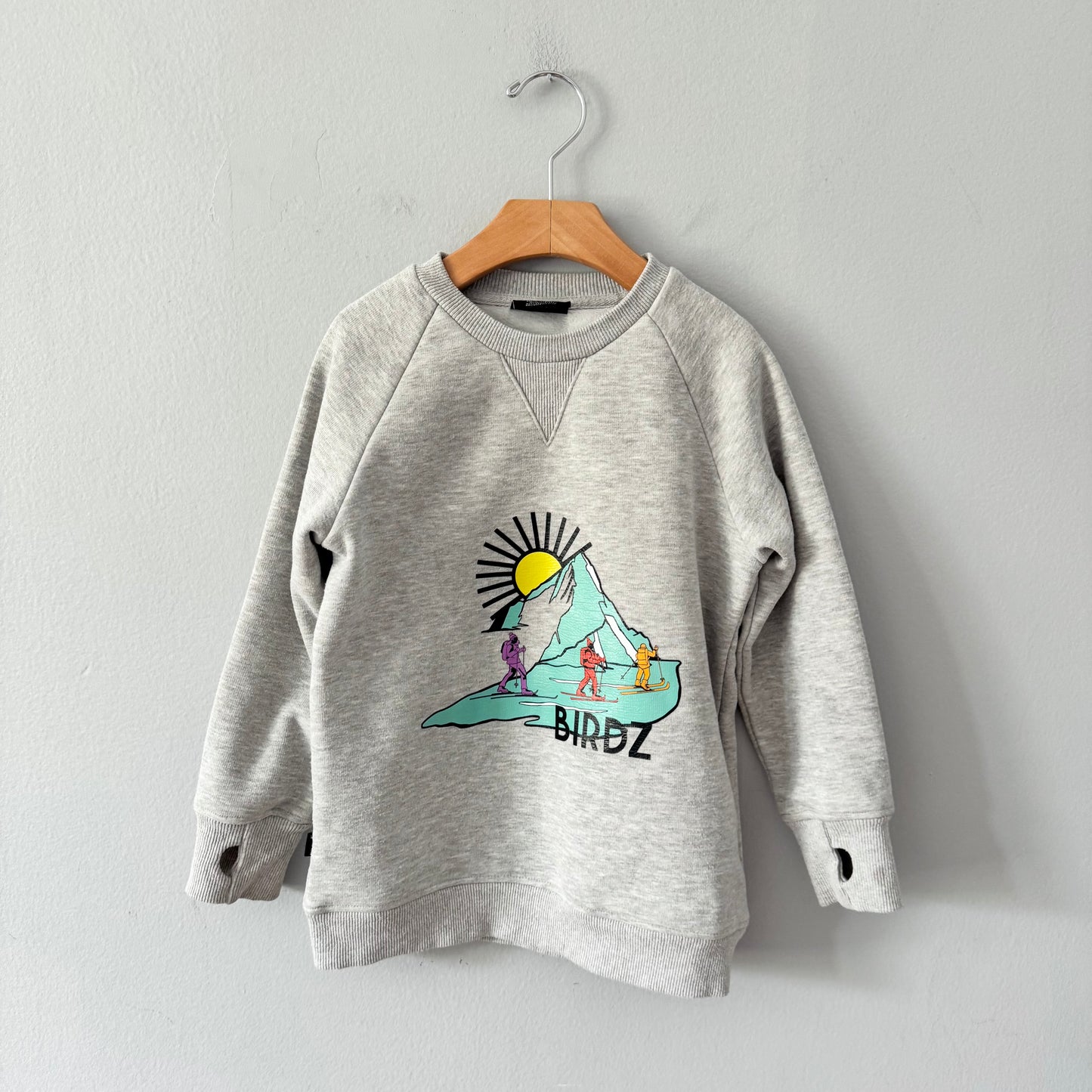 Birdz / Light grey sweatshirt / 6Y