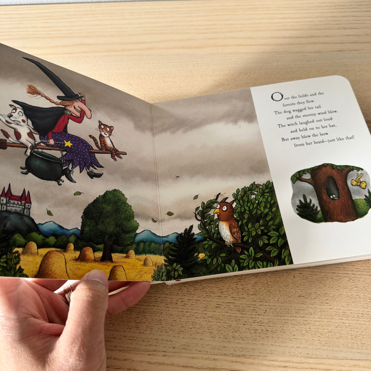 Room on the Broom / Julia Donldson & Axel Scheffler